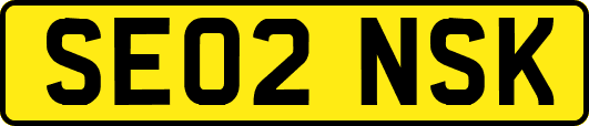 SE02NSK