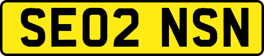 SE02NSN