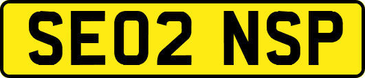 SE02NSP