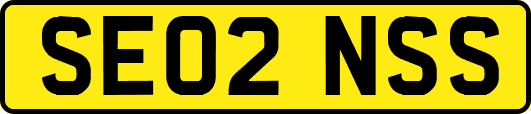 SE02NSS