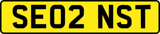 SE02NST