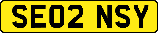 SE02NSY