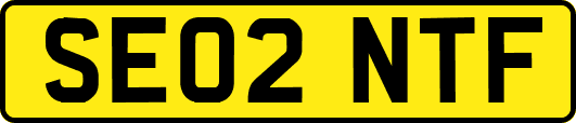 SE02NTF