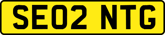 SE02NTG