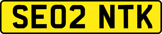 SE02NTK