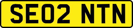 SE02NTN