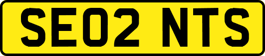 SE02NTS
