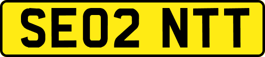SE02NTT
