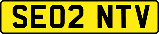 SE02NTV