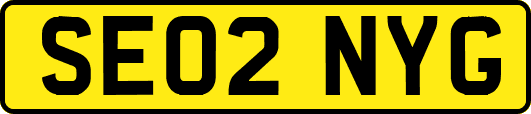 SE02NYG