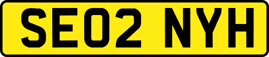 SE02NYH