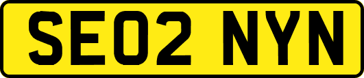 SE02NYN
