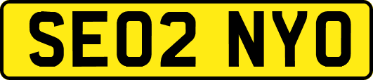 SE02NYO