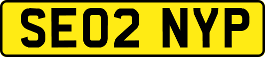 SE02NYP