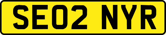 SE02NYR