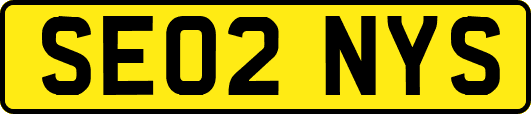 SE02NYS