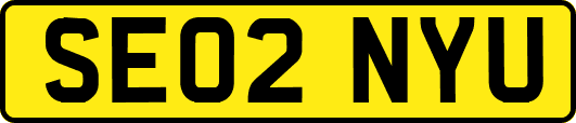 SE02NYU