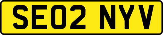 SE02NYV