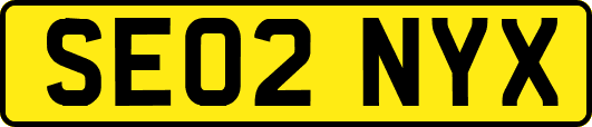 SE02NYX