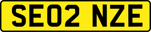 SE02NZE