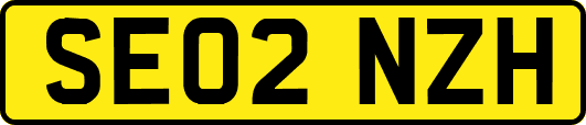 SE02NZH