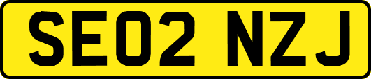 SE02NZJ