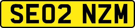SE02NZM