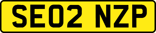 SE02NZP