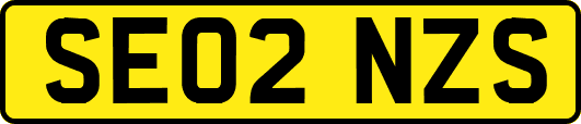 SE02NZS