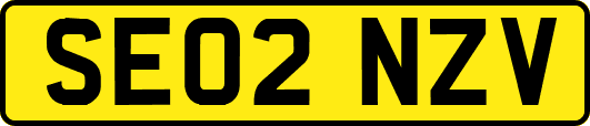 SE02NZV