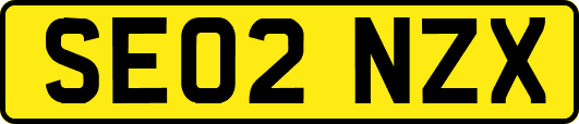 SE02NZX