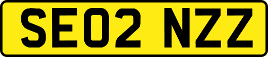 SE02NZZ