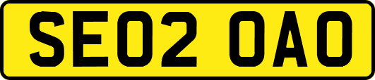 SE02OAO
