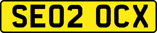 SE02OCX