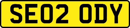 SE02ODY