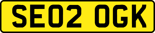 SE02OGK