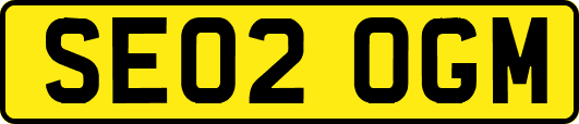 SE02OGM