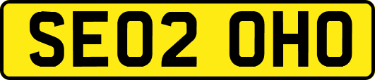 SE02OHO