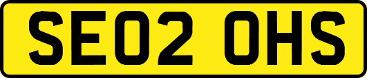 SE02OHS