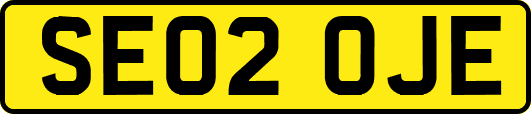 SE02OJE