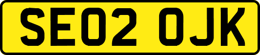 SE02OJK