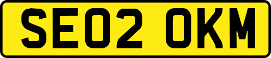 SE02OKM