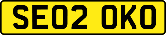 SE02OKO
