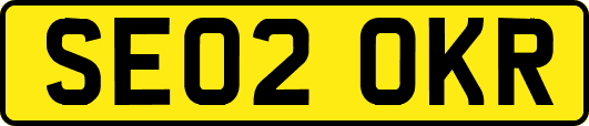 SE02OKR