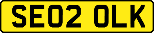 SE02OLK