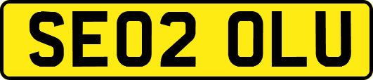 SE02OLU