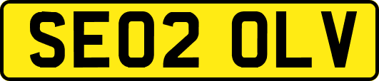 SE02OLV