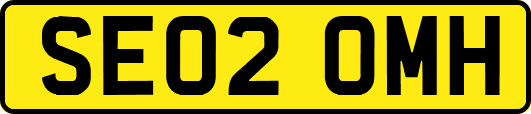 SE02OMH