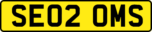 SE02OMS