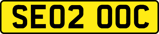 SE02OOC